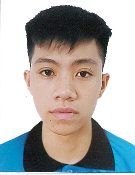 VU *** MINH